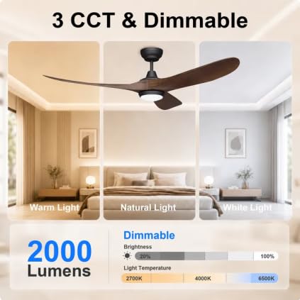 60 Inch Ceiling Fan with Lights (Black & Walnut / 60 inch)