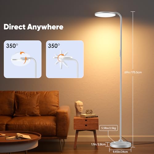36W LED Floor Lamp (Silver)