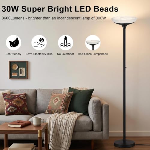 Torchiere Floor Lamp (Black Floor Lamp)