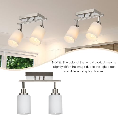 2 Light Track Light Fixtures Wall Sconce Lighting (Brushed Nickel / 2-Lights)