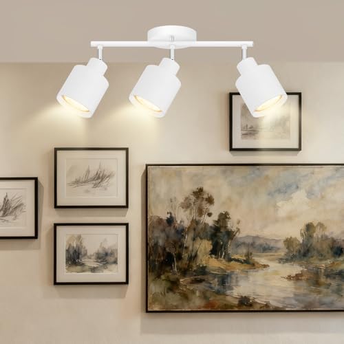 3 Light Led Track Lighting (3 light White)