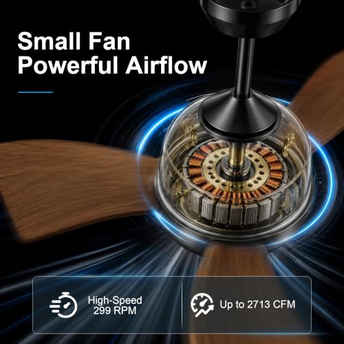 30 Inch Small Ceiling Fan with Light (Black & Walnut / 30 Inch)