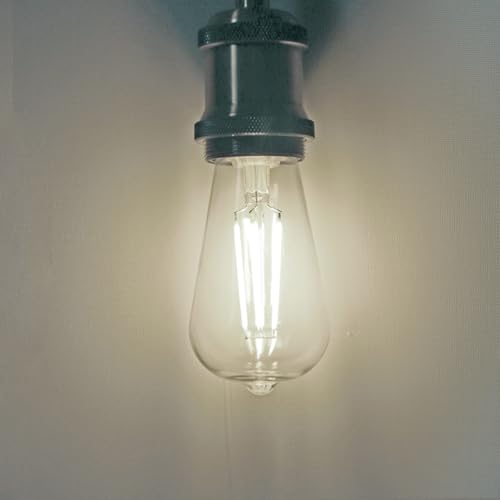 ST58 LED Edison Light Bulbs