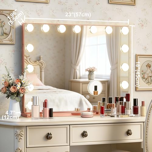 Rose Gold Hollywood Vanity Mirror with Lights (Rose Gold / 23"L x 18"W)