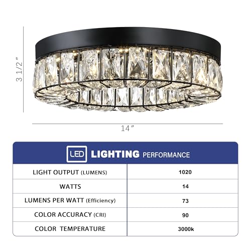 Crystal LED Lighting Fixture