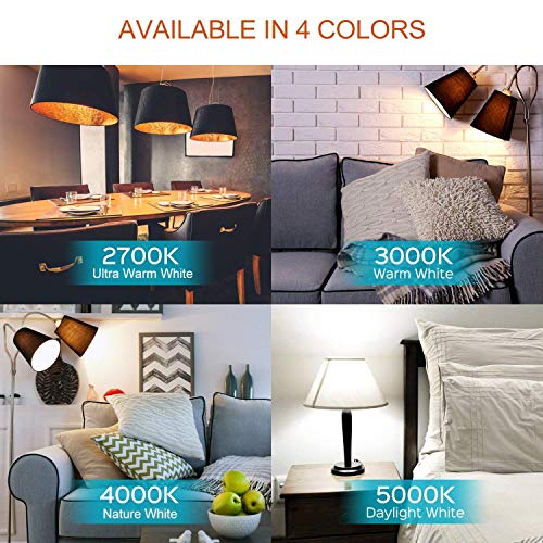 2 Inch LED Recessed Lighting (4000k (Natural White) / 1 Pack (White))