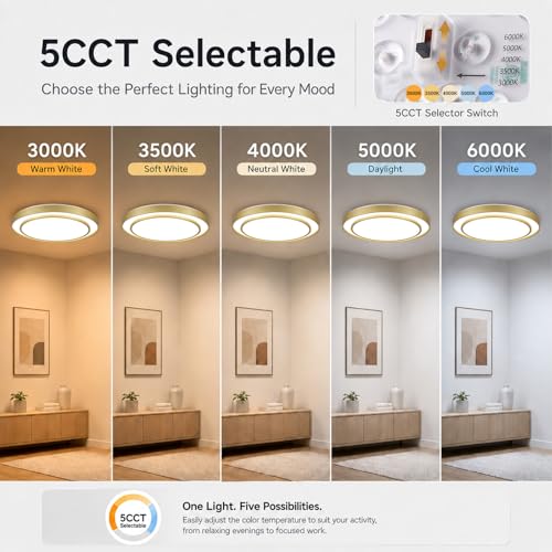 Close to Ceiling Light VC60