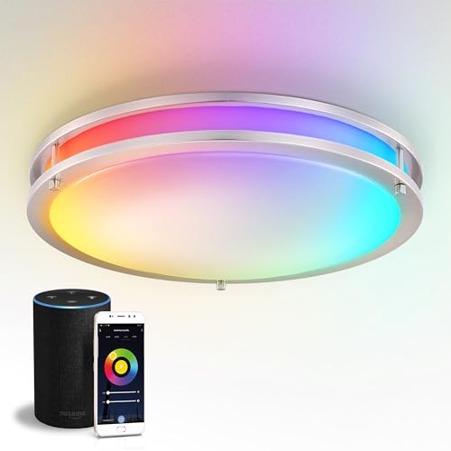 LED 18" Round Flush Mount Lighting (Brushed Nickel)