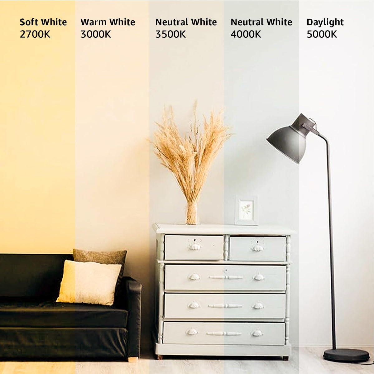 A19 LED Light Bulbs (6 Count (Pack of 1) / 75 Watt / Soft White)