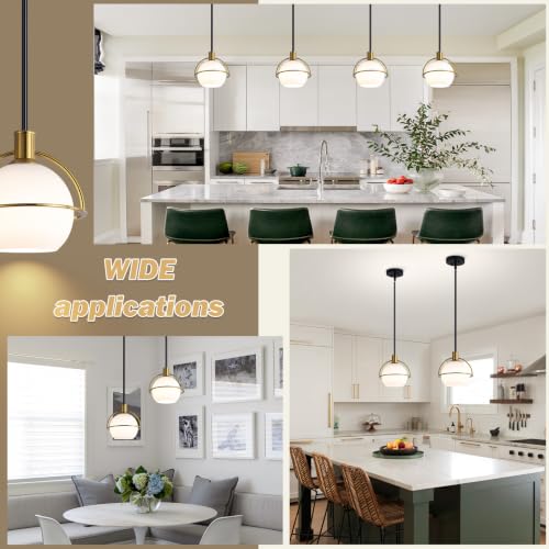2 Pack Modern Mid Century Globe Pendant Lights (Black and Gold / 2 Pack)