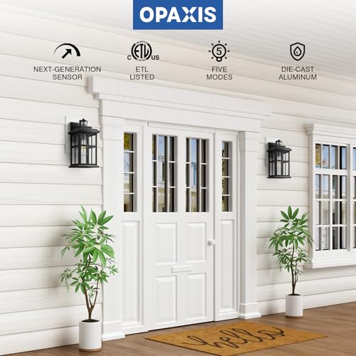 Large Motion Sensor Outdoor Light (Large Motion Sensor 1 Pack / Black)
