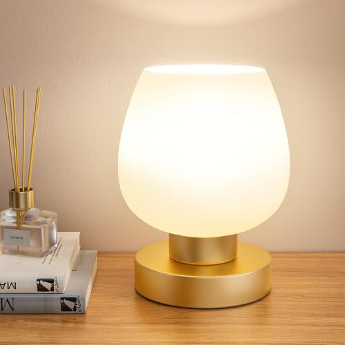 Small Touch Table Lamp for Nightstand