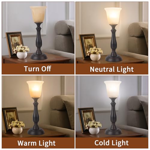 Farmhouse Table Lamp for Living Room (Dark Brown)