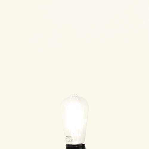 ST58 80CRI LED Edison Bulb 4 Pack 8 Pack