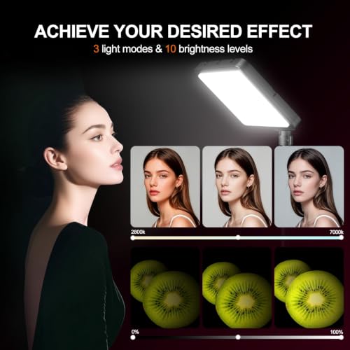 2 Pack LED Video Light Kit (35W / 46-73inch)