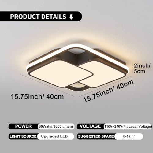 Modern Ceiling Light with Remote for Bedroom Living Room Kitchen Hallway 0109