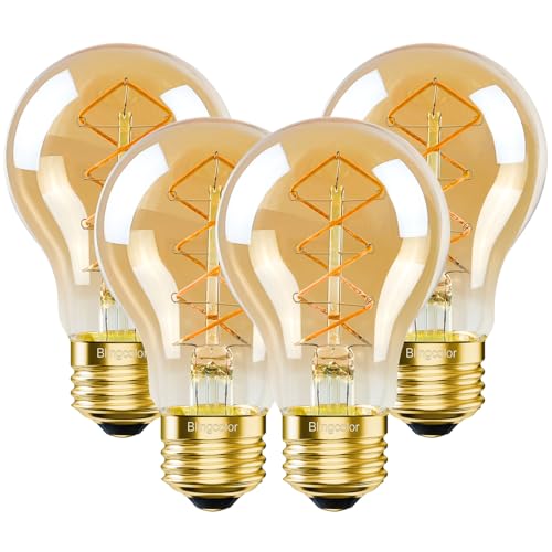 A19 Vintage LED Edison Bulbs
