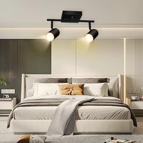 2 Light Track Lighting Kit (2 light-black)