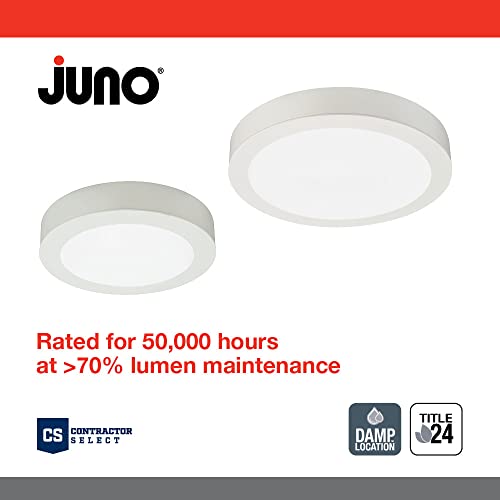 Slim Basics LED Ceiling Light