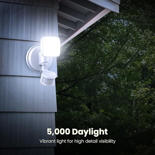 LED Outdoor Security Floodlight (White / 500 Lumens / Modern)