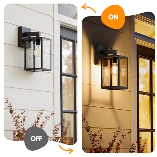 Outdoor Wall Light (Black)