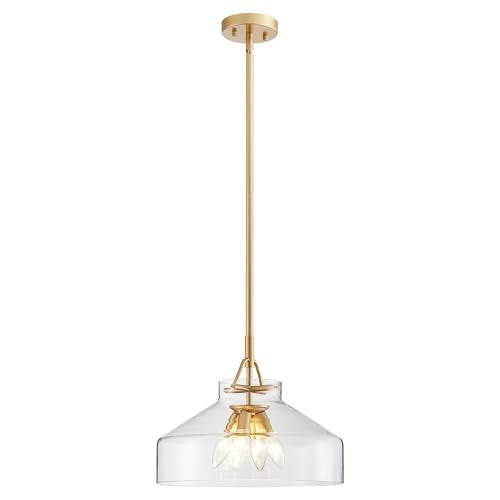 Pendant Chandelier Light with Glass Shade