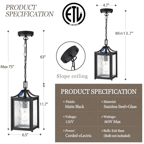 Outdoor Pendant Lights (Black / Small-Water Glass)