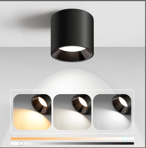 Hallway Light Flush Mount Modern LED Ceiling Light Fixtures for Kitchen Entryway
