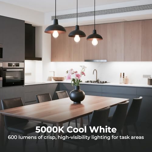 A19 E26 LED Light Bulbs 60 Watt Equivalent (12 Pack / 5000k Cool White)