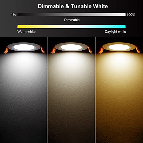 Smart 2 Inch LED Recessed Lighting RGB WiFi Downlight (RGB (Red, Green, Blue) / 4 Pack (White))