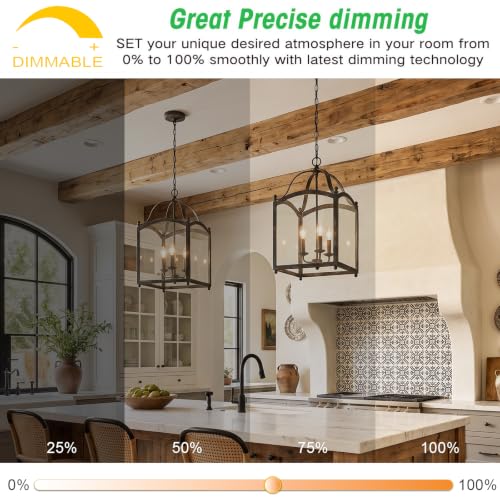 E12 LED Candelabra Bulbs (Warm White Light / 24 Count (Pack of 1))