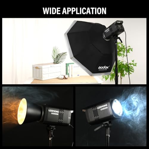 Litemons LE200Bi LED Video Light Kit with Softbox Light Stand (BLACK)