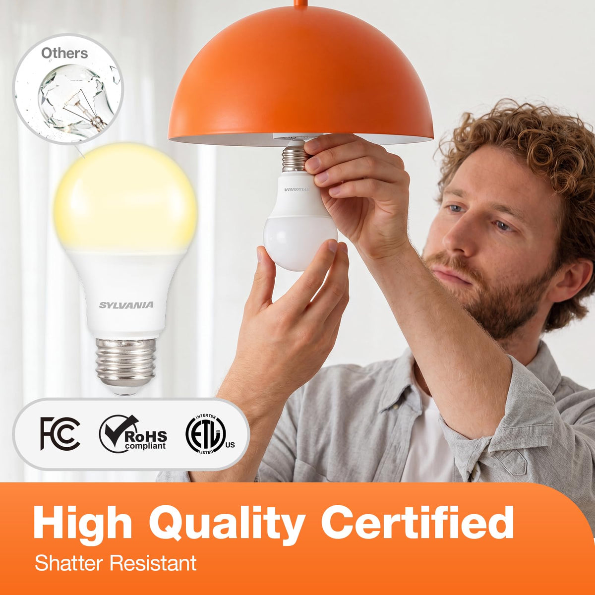 Sylvania LED Light Bulb (Soft White / 4 Count (Pack of 1) / 60W)