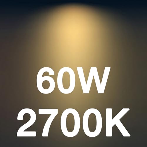 CA11 E26 LED Candle Light Bulbs