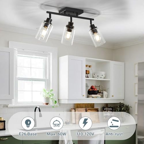 3 Light Kitchen Track Light Fixtures Ceiling Vanity Lights Black (Black / 3-Light)