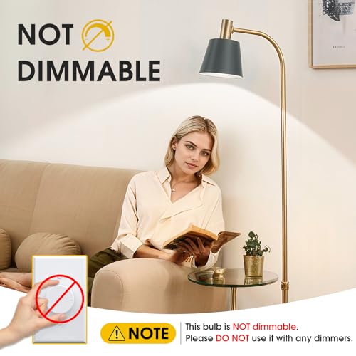 A19 LED Light Bulbs (Neutral White)