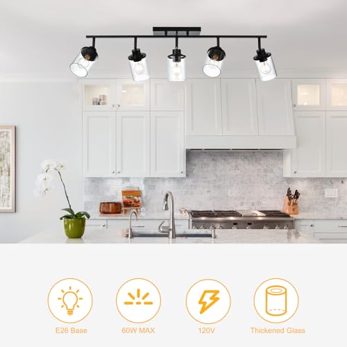 5 Light Kitchen Track Light Fixtures Ceiling Vanity Lights Black (Black / 5 Light)