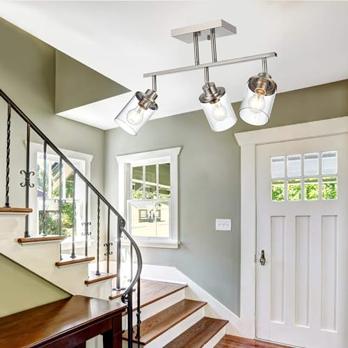 Track Lighting Fixtures 3 Light Directional Ceiling Lights with Adjustable Track Heads (Brushed Nickel / 3-Light)