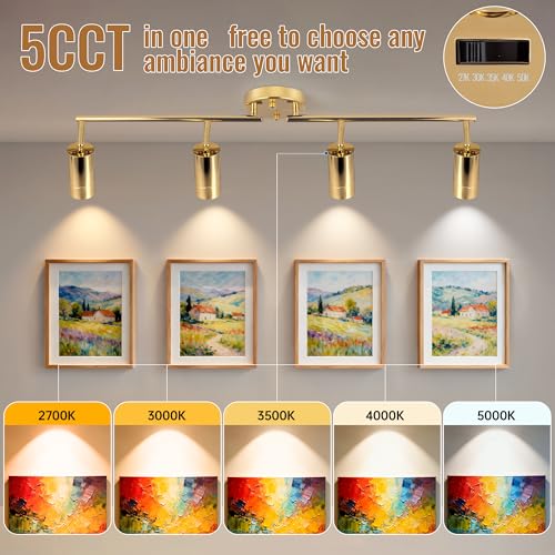 LED Track Lighting Kit 48W Track Light (Gold)