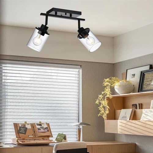 2 Light Kitchen Track Light Fixtures Ceiling Vanity Lights Black (Black / 2 Light)