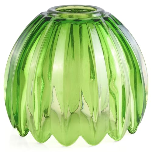 Small Glass Lamp Shades Art Blown Pendant Lamp Shade