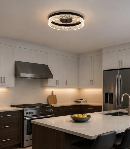 Ceiling Light Fixture (19in Black)