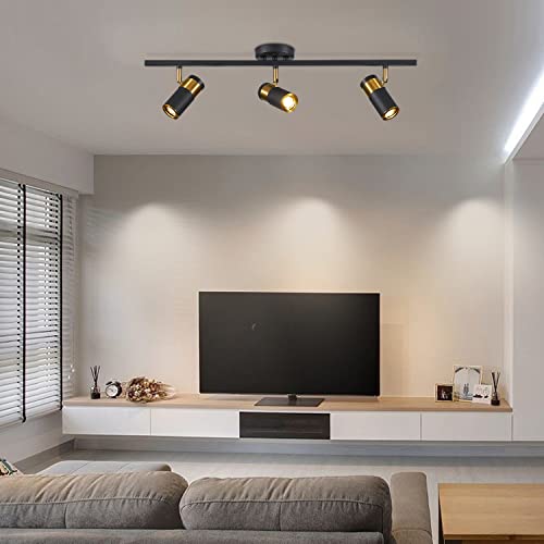 3 Light LED Track Lighting (Black)
