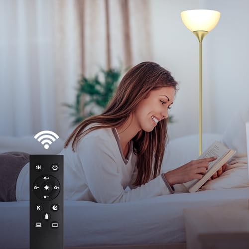 Floor Lamp Remote Control (Gold Brass)
