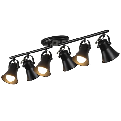 6 Light Track Lighting Kit (6-Light / Black)