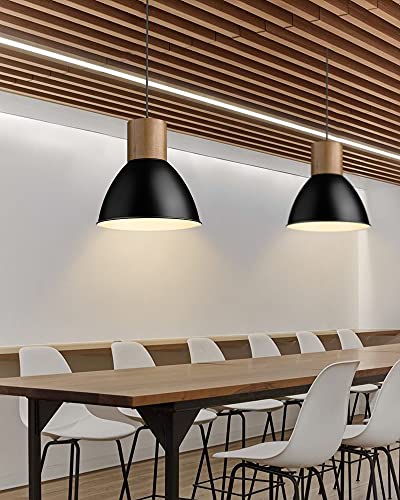 Modern Pendant Light