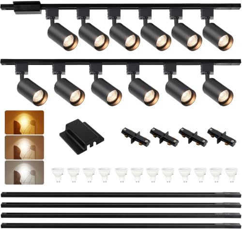 12FT LED Track Lighting Kit with 3 (Black)