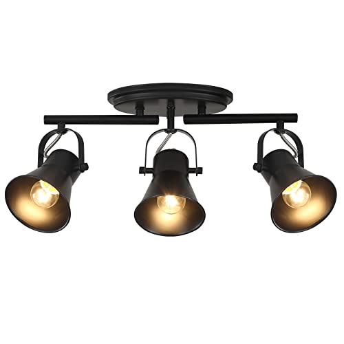 3 Light Track Lighting Kit (3-Light / Black)