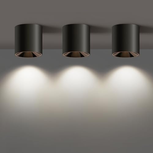 Modern LED Ceiling Light Fixture Flush Mount COB 20W 4000K Cylinder Ceiling Lights