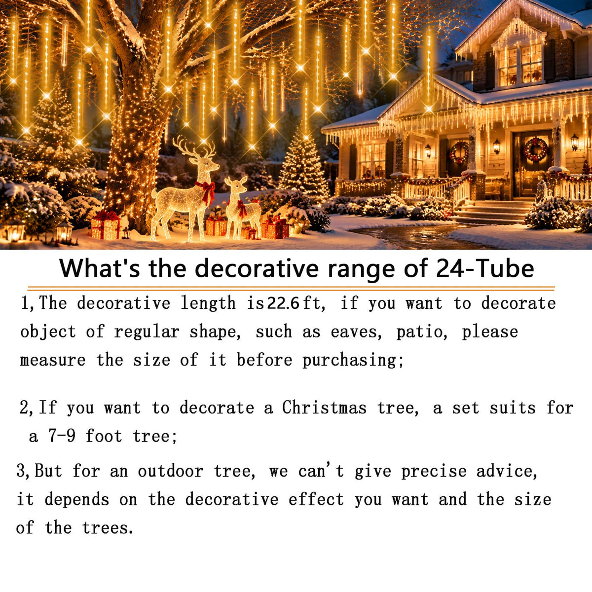 Outdoor Christmas Lights (Warm White)